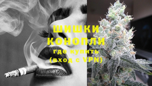 2c-b Пестово