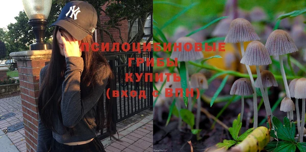 ECSTASY Алексин