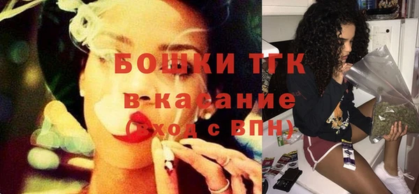 соль ск Пересвет