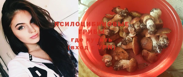 ECSTASY Алексин