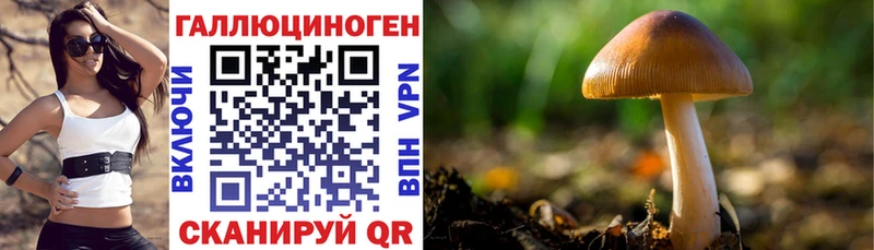 где купить наркоту  Лесосибирск  Галлюциногенные грибы GOLDEN TEACHER 