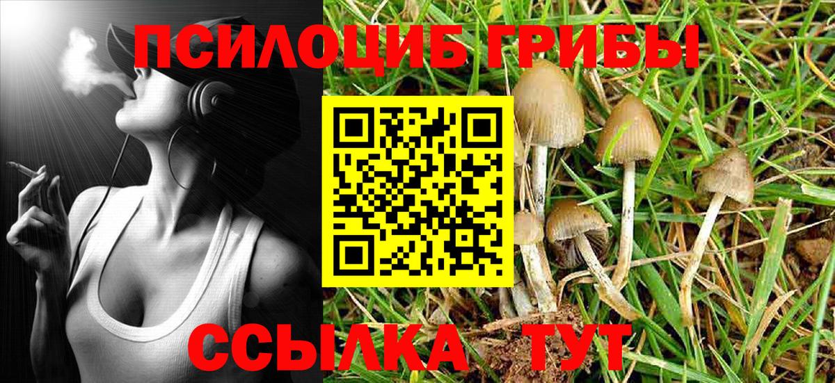 Лесосибирск  Галлюциногенные грибы Psilocybine cubensis  Вход с VPN 