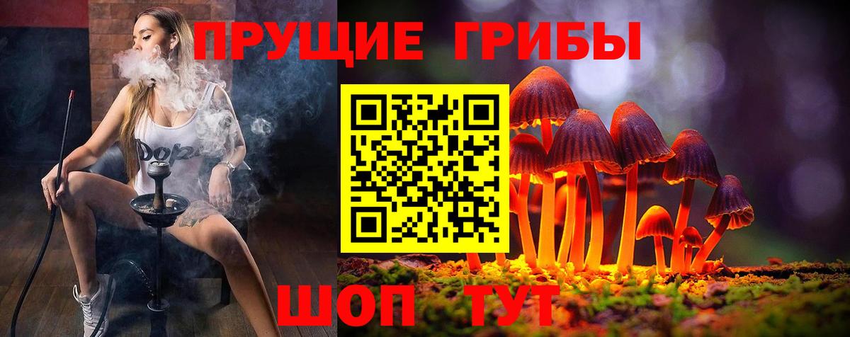 Галлюциногенные грибы Psilocybe Лесосибирск